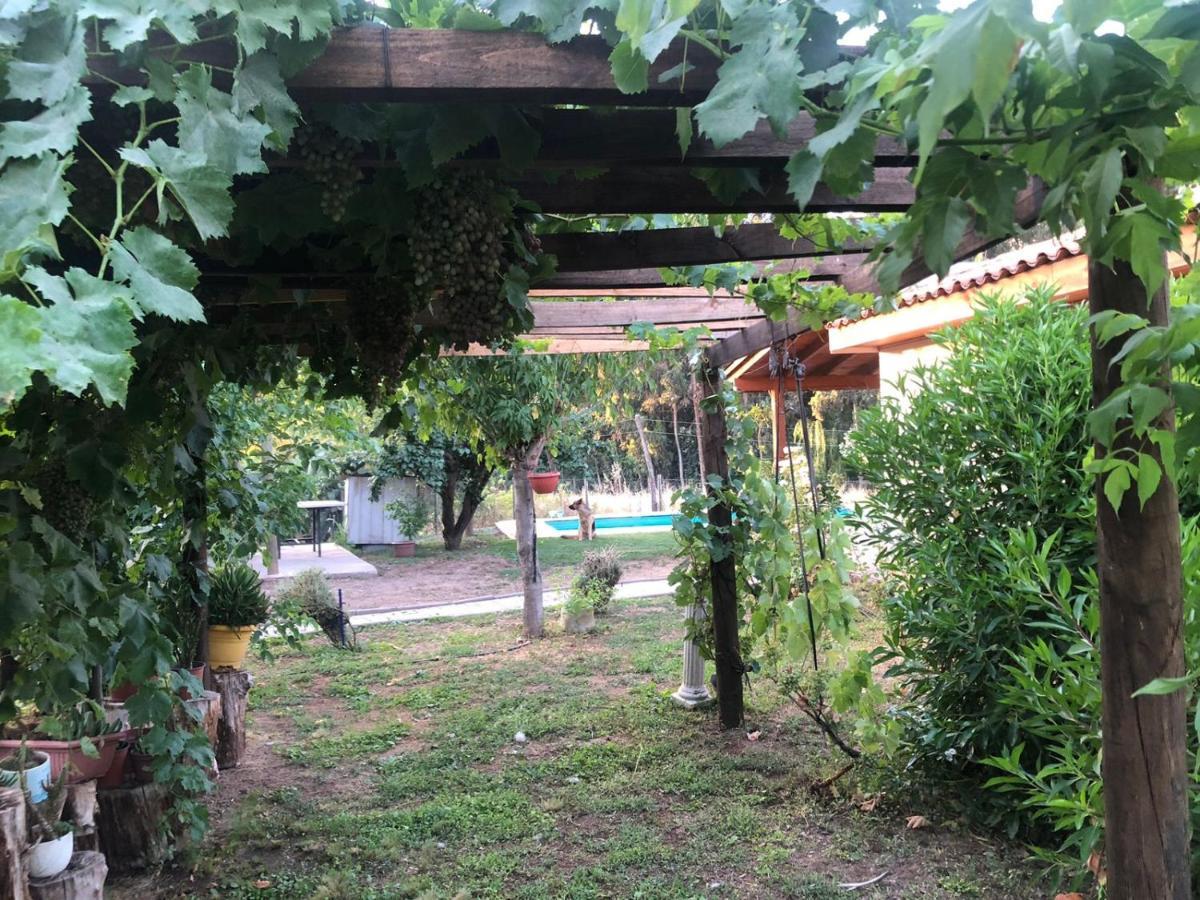 Alojamiento Los Nogales Santa Cruz Exteriör bild